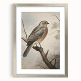Timeless Vintage Animal Art: Bird Illustration Print for Home