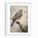 Timeless Vintage Animal Art: Bird Illustration Print for Home