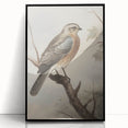 Timeless Vintage Animal Art: Bird Illustration Print for Home