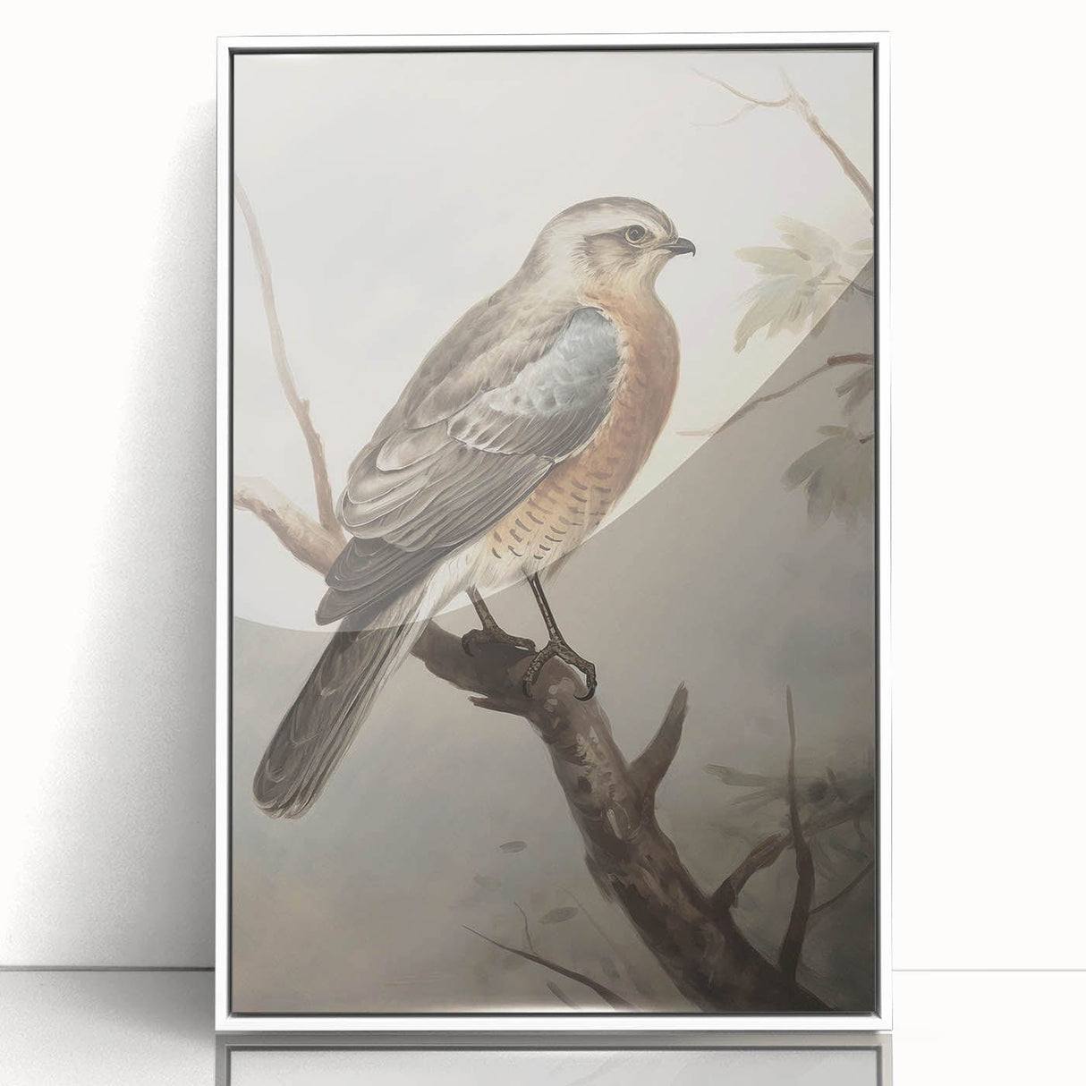 Timeless Vintage Animal Art: Bird Illustration Print for Home