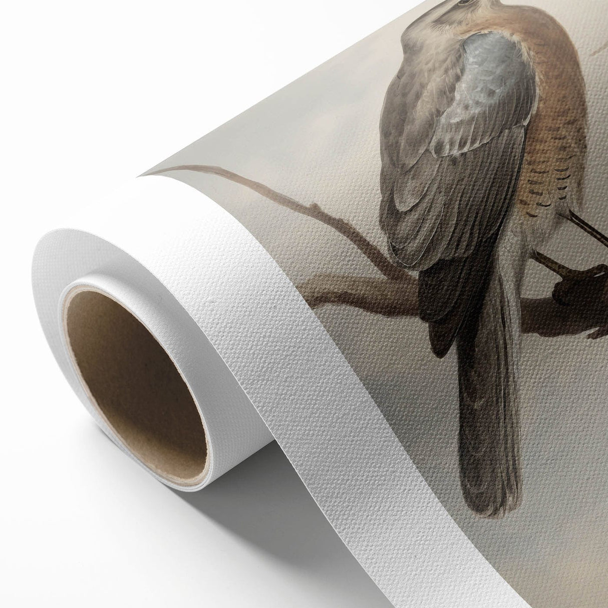 Timeless Vintage Animal Art: Bird Illustration Print for Home