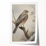 Timeless Vintage Animal Art: Bird Illustration Print for Home