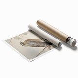 Timeless Vintage Animal Art: Bird Illustration Print for Home