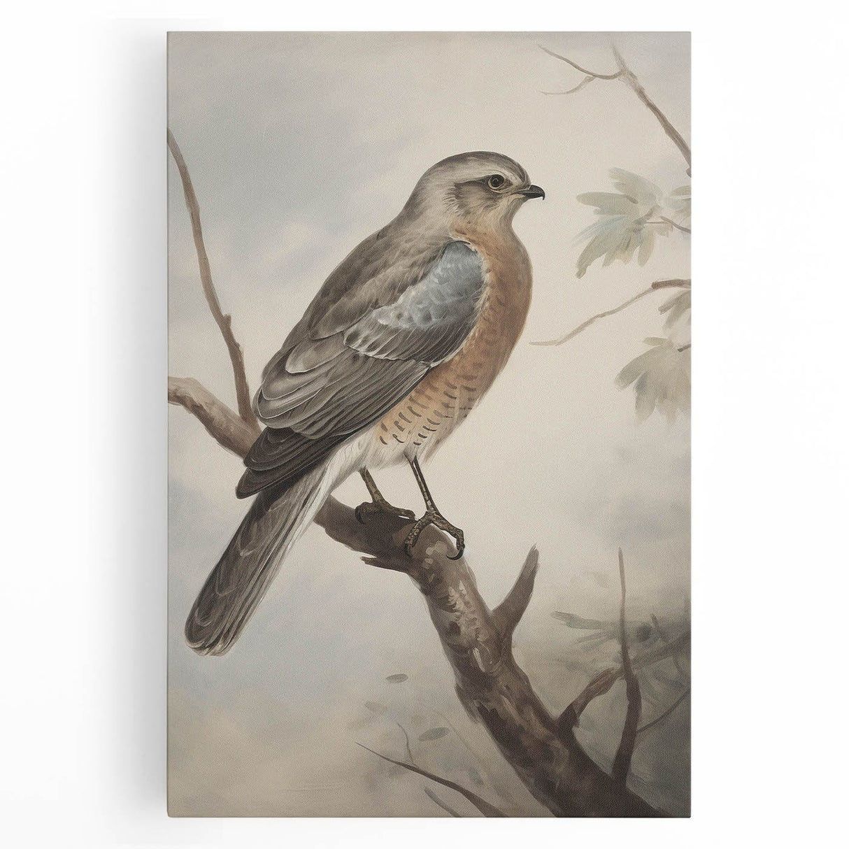 Timeless Vintage Animal Art: Bird Illustration Print for Home