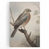 Timeless Vintage Animal Art: Bird Illustration Print for Home