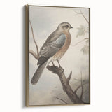 Timeless Vintage Animal Art: Bird Illustration Print for Home