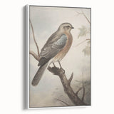 Timeless Vintage Animal Art: Bird Illustration Print for Home