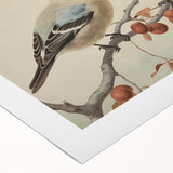 Vintage Animal Art: Birds on Branch Illustration Print