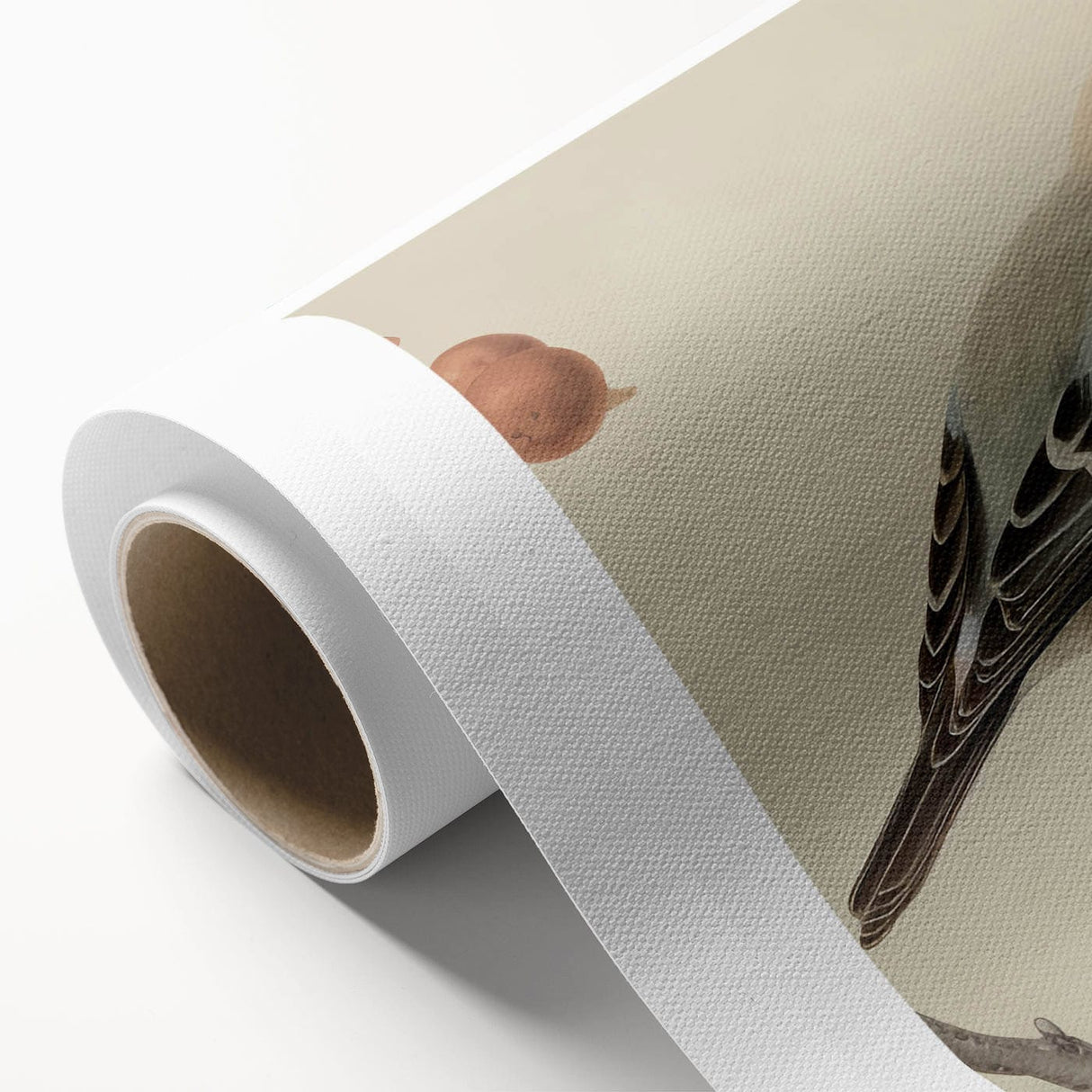 Vintage Animal Art: Birds on Branch Illustration Print