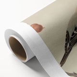 Vintage Animal Art: Birds on Branch Illustration Print