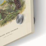 Vintage Animal Art: Hawk Illustration Art Print