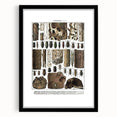 Vintage Insect Art - Detailed Xylophages Insect Illustration Print