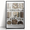 Vintage Insect Art - Detailed Xylophages Insect Illustration Print
