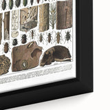 Vintage Insect Art - Detailed Xylophages Insect Illustration Print