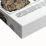 Vintage Insect Art - Detailed Xylophages Insect Illustration Print