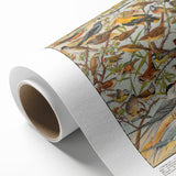 Vintage Animal Art - Detailed Bird Species Illustration Print