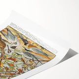 Vintage Animal Art - Detailed Bird Species Illustration Print