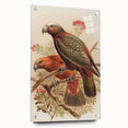 Vintage Animal Art: Parrot Illustration Art Print