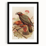 Vintage Animal Art: Parrot Illustration Art Print