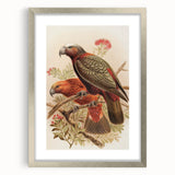Vintage Animal Art: Parrot Illustration Art Print