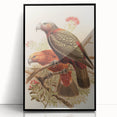 Vintage Animal Art: Parrot Illustration Art Print