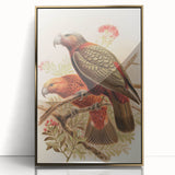 Vintage Animal Art: Parrot Illustration Art Print