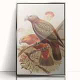 Vintage Animal Art: Parrot Illustration Art Print