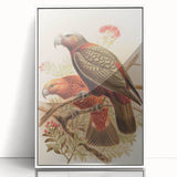 Vintage Animal Art: Parrot Illustration Art Print