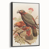Vintage Animal Art: Parrot Illustration Art Print