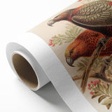 Vintage Animal Art: Parrot Illustration Art Print