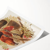 Vintage Animal Art: Parrot Illustration Art Print