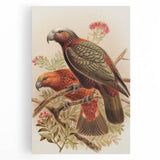 Vintage Animal Art: Parrot Illustration Art Print