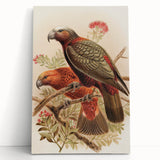 Vintage Animal Art: Parrot Illustration Art Print