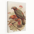 Vintage Animal Art: Parrot Illustration Art Print