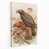 Vintage Animal Art: Parrot Illustration Art Print