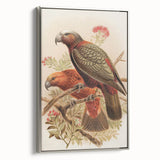 Vintage Animal Art: Parrot Illustration Art Print