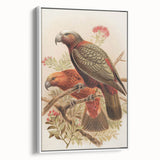 Vintage Animal Art: Parrot Illustration Art Print
