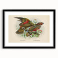 Vintage Animal Art: Parrot Illustration Art Print