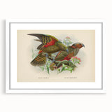 Vintage Animal Art: Parrot Illustration Art Print