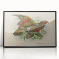 Vintage Animal Art: Parrot Illustration Art Print