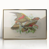 Vintage Animal Art: Parrot Illustration Art Print