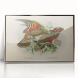 Vintage Animal Art: Parrot Illustration Art Print