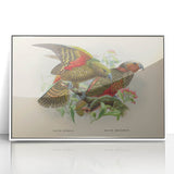 Vintage Animal Art: Parrot Illustration Art Print