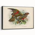 Vintage Animal Art: Parrot Illustration Art Print