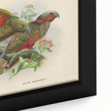 Vintage Animal Art: Parrot Illustration Art Print