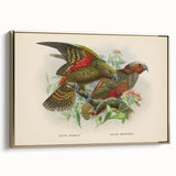 Vintage Animal Art: Parrot Illustration Art Print