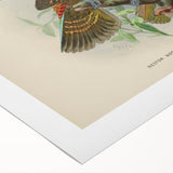 Vintage Animal Art: Parrot Illustration Art Print