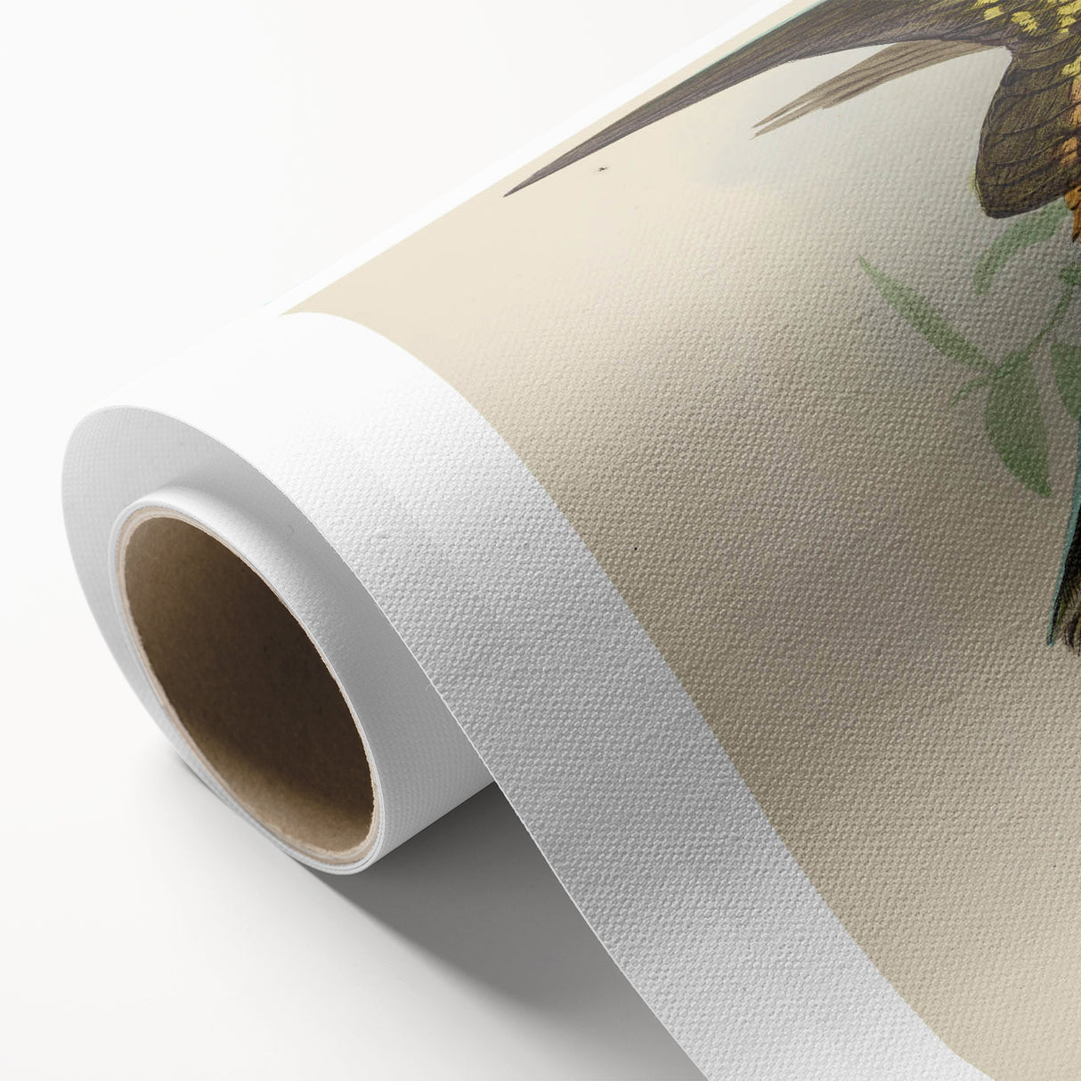 Vintage Animal Art: Parrot Illustration Art Print