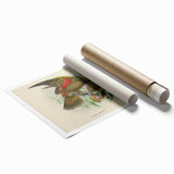 Vintage Animal Art: Parrot Illustration Art Print