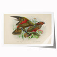 Vintage Animal Art: Parrot Illustration Art Print
